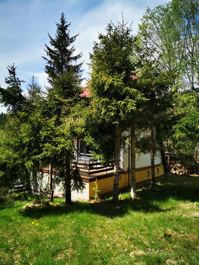 Wojtowka 16 Villa Ladek-Zdroj Exterior photo
